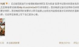 新闻记者爆料电话,揭秘新闻记者神秘爆料电话背后的故事