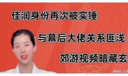 佳润最新爆料视频大全,揭秘幕后真相，精彩瞬间回顾