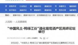 广东网红爆料新闻报道,揭秘网红圈幕后真相