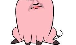 娱乐爆料猪头表情包,娱乐爆料界的“萌宠”新宠儿