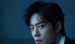 任嘉伦最新粉料爆料视频,幕后故事与幕后英雄