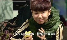 变形记刘伽辰在线观看,探寻人性与命运的深刻剖析