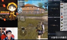 壮哥游戏爆料视频大全,揭秘热门游戏幕后故事与精彩瞬间