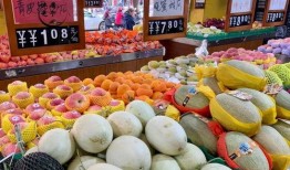 甜瓜游乐场最新更新爆料,畅享无限欢乐新篇章！