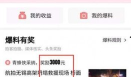 梅州头条最新爆料,揭秘梅州某重大事件背后真相！