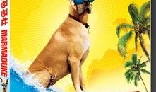 酷狗马马杜在线观看,带你领略音乐魅力