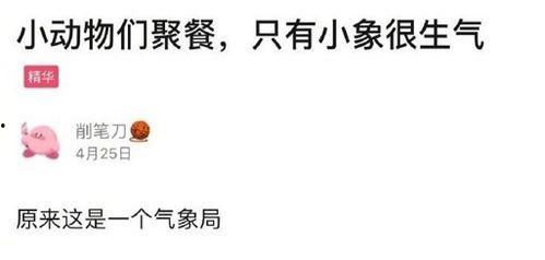 娱乐吃瓜酱谐音梗是什么,揭秘谐音梗背后的趣味与智慧