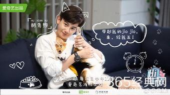 hi室友娱乐吃瓜,揭秘明星宿舍里的欢乐时光